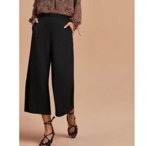 Aritzia Wilfred Lalemant Culotte Pants
